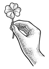 clover in hand sketch engraving PNG illustration. T-shirt apparel print design. Scratch board imitation. Black and white hand drawn image.
