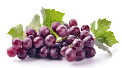 red grapes on a branch with leaves isolated on a white background. Generative Ai