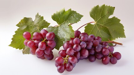 Fototapeta premium red grapes on a branch with leaves isolated on a white background. Generative Ai