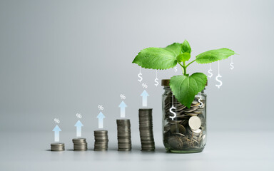 Investment and saving funds increasing rate concept, financial market growth and development showing glass jar full of coins. Gray isolated background copy space. New edit with graphical money icon.