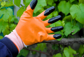 Human hand in an orange nitrile glove