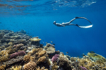 Freediver woman swim in blue ocean over coral reef