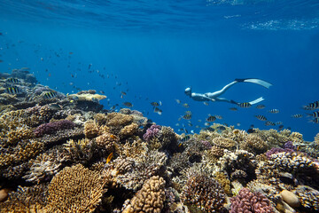 Freediver woman swim in blue ocean over coral reef