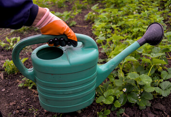 A hand in an orange glove holds watering can