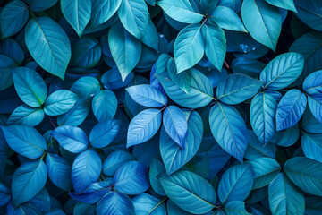 Bush with unique blue leaves and a conceptual design