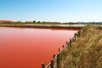 View onto the main bathing, swimming pool at the Burgas Salt Pans, water of intense pink color,...