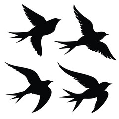 Bird Silhouette Vector art Set