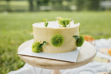 Sunshine Blossom Cake,A luscious yellow cake adorned with vibrant green flowers on top