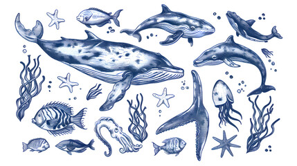 Hand drawn illustration of realistic ocean animals isolated on transparent background