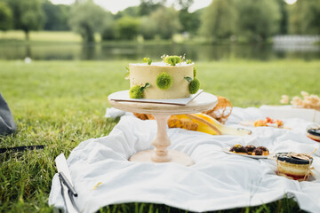 Serene Delight: Cake Picnic on the park