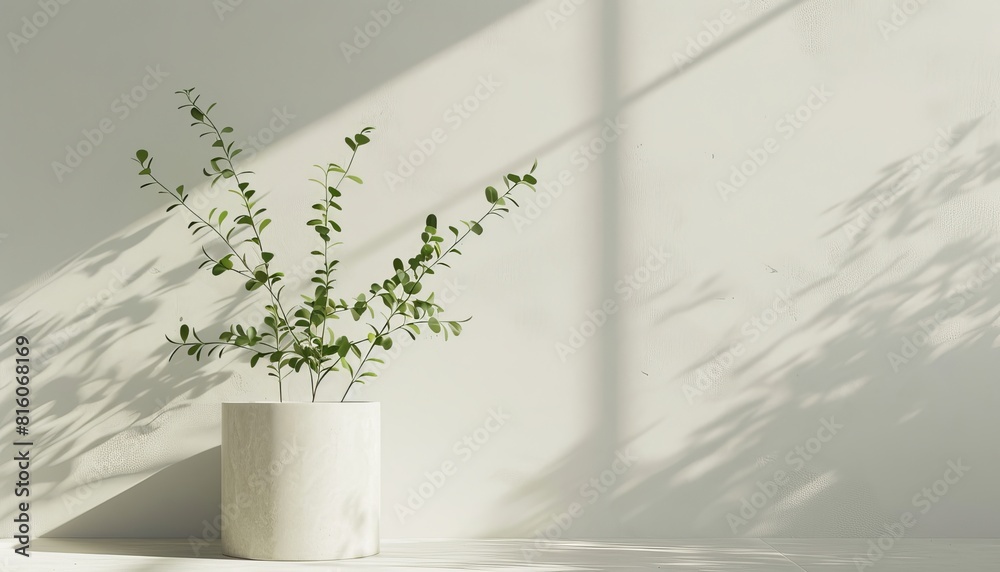 Wall mural A minimalist depiction of a potted plant sitting on a white floor, casting a delicate shadow on a clean, white wall