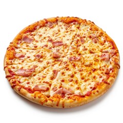 A Hyper-Realistic Capture of Veg Pizza