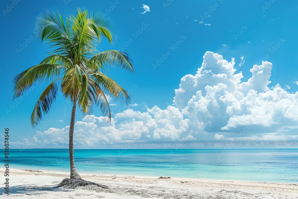 Canvas Prints Vibrant and clear beach setting with a tall palm tree swaying over turquoise water