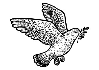 dove with olive sprig branch sketch engraving PNG illustration. T-shirt apparel print design. Scratch board imitation. Black and white hand drawn image.