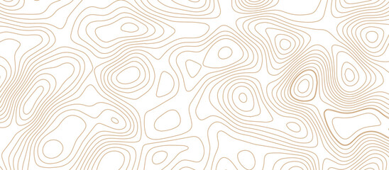 Abstract wave paper curved reliefs background .gradient multicolor wave curve lines banner background design .topographic contours map background .Vector geographic contour map.