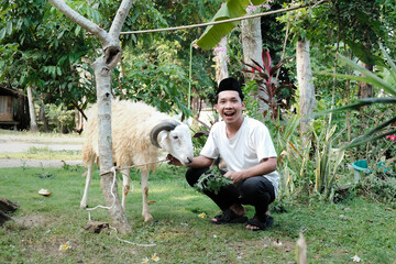 The happy man feeds his sheep. eid al adha concept