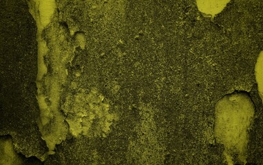 yellow wall theme background, Horror midnight view background of blank spooky vibrant bright mustard yellow grunge spider web or cobweb on halloween theme textured rustic scratched wallpaper 