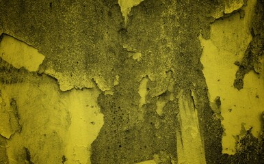 yellow wall theme background, Horror midnight view background of blank spooky vibrant bright mustard yellow grunge spider web or cobweb on halloween theme textured rustic scratched wallpaper 