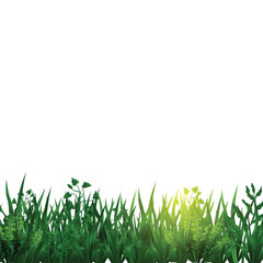 Fototapeta premium Vector of realistic grass