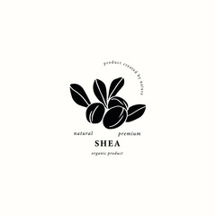 Flat vector shea nut with leaves logo