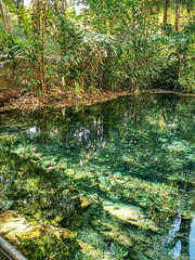 Landscape of Ban Tha Chang spring,located in Pakchong town,Nakorn Ratchasima of Thailand