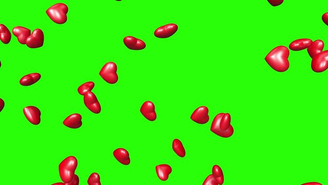  3d shiny isometric red hearts slowly rising on green screen. Love, romantic effect and Valentine's day concept. Wedding background, loop