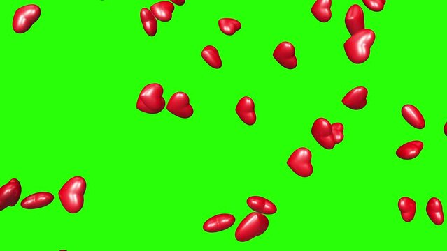 Rain of 3d glossy isometric red hearts falling slow on green screen. Love, romantic effect and valentine's day concept. Wedding background, loop