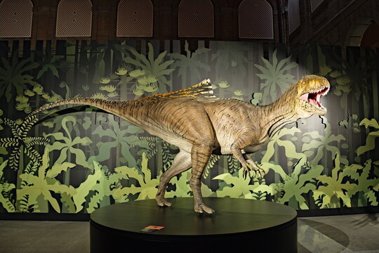 recreation of the dinosaur Concavenator corcovatus at the regional archaeological museum of alcala de henares
