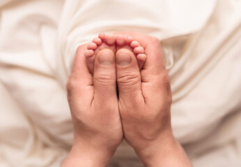 Baby feet of a newborn in dad's hands. On a white background.