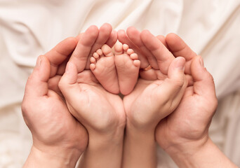Children's feet in the arms of their parents. On a white background.