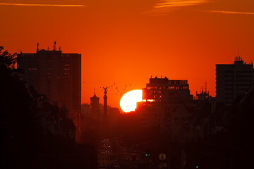 Fototapete bei efototapeten.de bestellen   