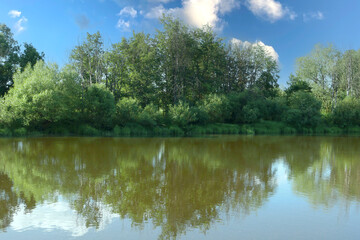 Landscape from a wooded river bank.