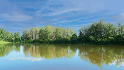 Fototapeta premium Landscape with a pond and green forest.