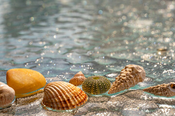 Summer bright background with seashells. Shallow depth of field, bright bokeh