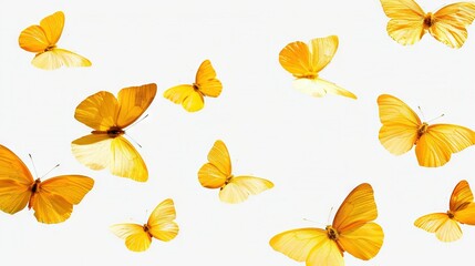   A flock of vibrant yellow butterflies soaring through the sky, with one out of frame and another drifting off-camera