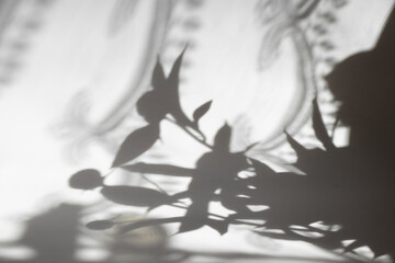Shadow of a bouquet with peonies and a curtain on a white background, floral shadow © Виктория Котлярчук