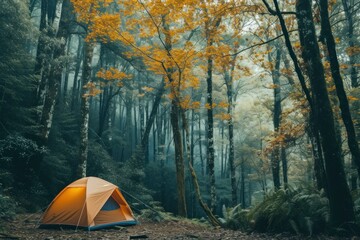 Orange tent amidst a foggy forest with autumn colors