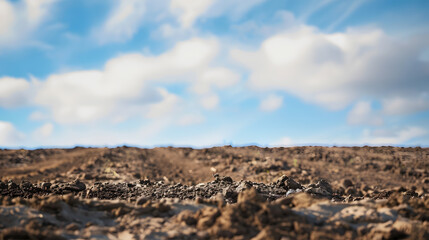 Empty brown soil of field and blue sky for natural background : Generative AI