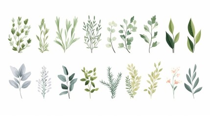 This image showcases a variety of hand-drawn green leaf botanical illustrations, neatly ordered in rows