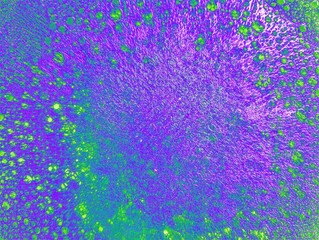 In the picture is a picture of a sponge decorated with green and purple colors used to make a very colorful illustration.