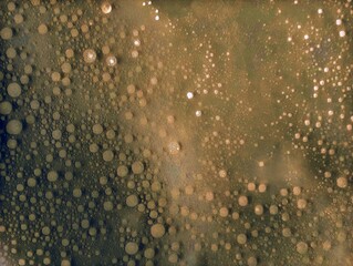 In the picture is a decorative sponge that has been artistically colored with dark green and purple dots for use in art in various illustrations.