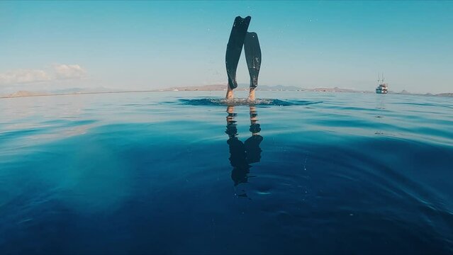 Woman dives underwater in the tropical sea with long fins