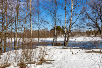 A serene winter scene with a snow-covered clearing leading to a river, surrounded by bare birch...