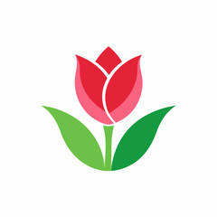 A-minimalist tulip flower vector illustration