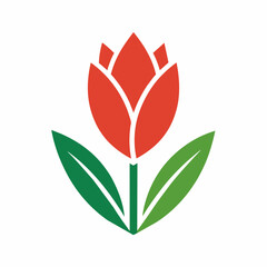 illustration of a tulip