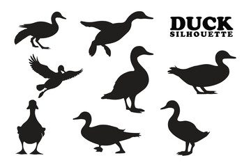 Duck silhouette collection. Set of black Duck silhouette. Duck silhouette set.