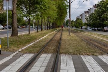  daytime urban scene featuring tram tracks running through a zebra crossing, with green trees and...
