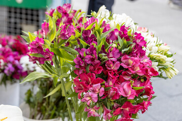  vibrant flower bouquet featuring Alstroemeria flowers in shades of purple and white, set against a natural outdoor background.