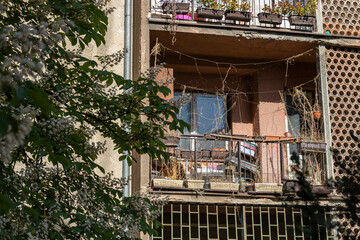 An urban apartment building showcases an overgrown balcony with dried vines and white flowers,...