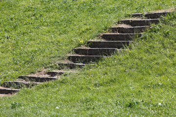Obraz premium Steps through the grassy hillside